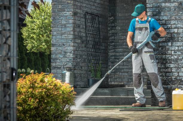 Best Roof Cleaning and Mildew Removal in La Blanca, TX